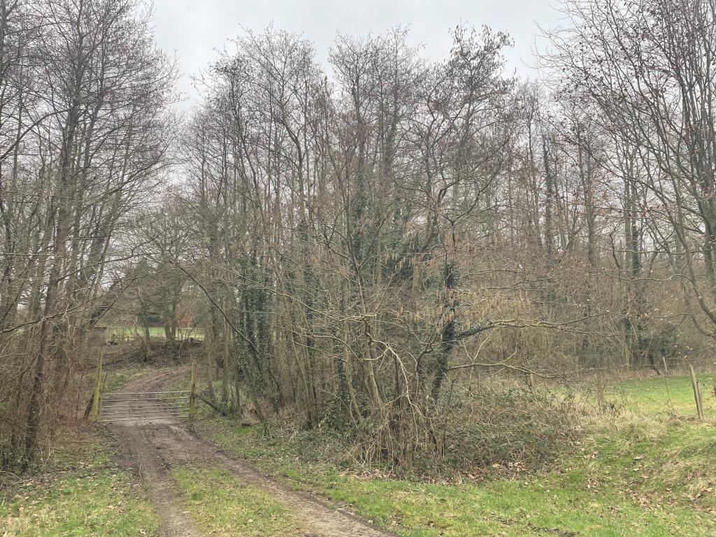 Lot: 121 - APPROXIMATELY THREE ACRES OF WOODLAND - 